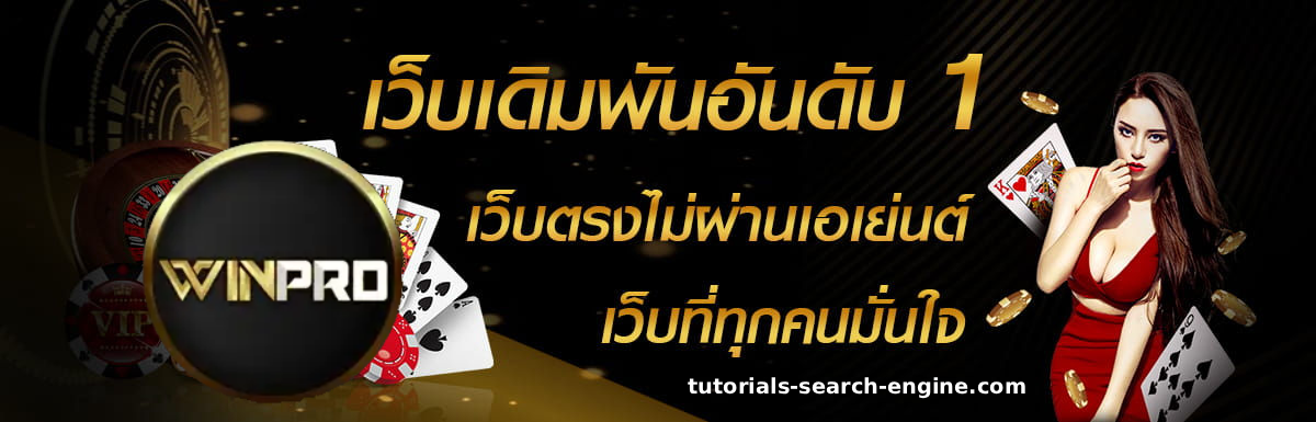 winpro me